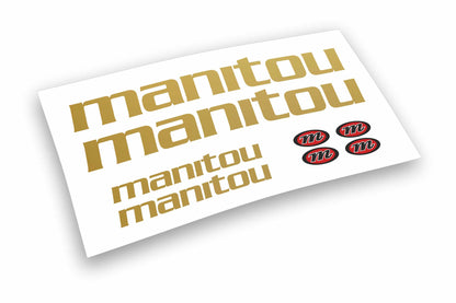 adesivi forcella manitou colori a scelta anche fluo mtb-8pz  stickers fork