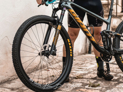 Giant Anthem adesivi personalizzati telaio mountain bike