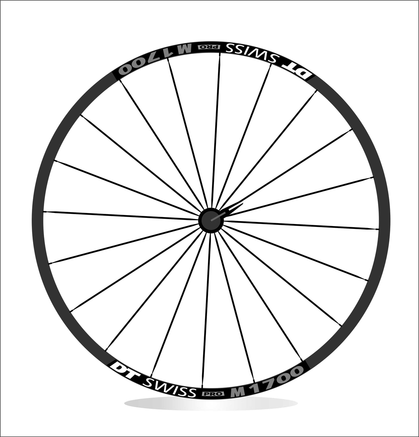 DT SWISS M 1700 adesivi per ruote