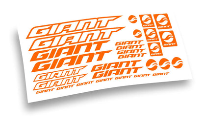 Giant kit logo 2021 adesivi bicicletta colore personalizzato