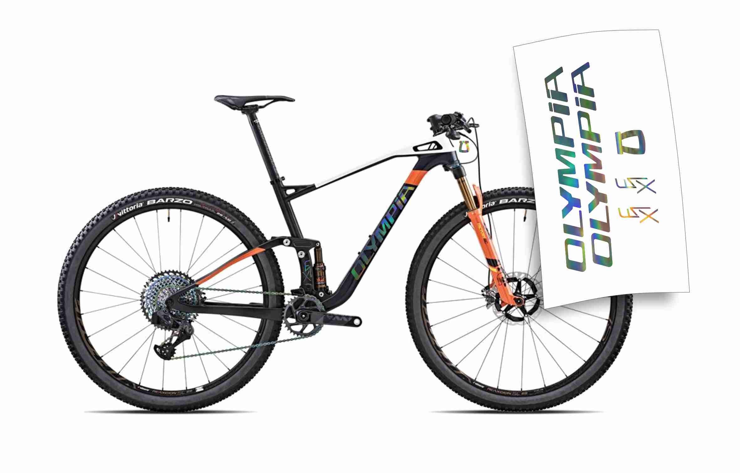 Decalcomanie Personalizzate Per Telaio Mountain Bike Rocky - 30 Colori - USA